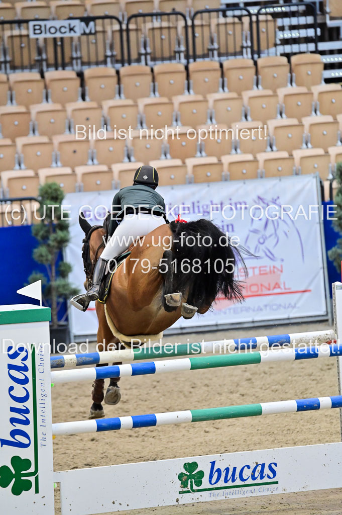 SH Holstein International 21-24.10.2021 Neumünster | Pfg 8 Gold Tour _140