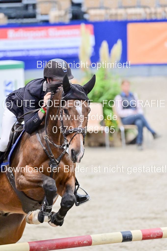 SH Holstein International 21-24.10.2021 Neumünster | Pfg 8 Gold Tour _164