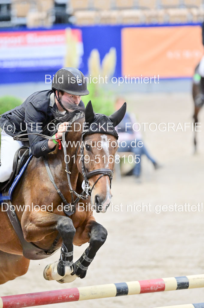 SH Holstein International 21-24.10.2021 Neumünster | Pfg 8 Gold Tour _165