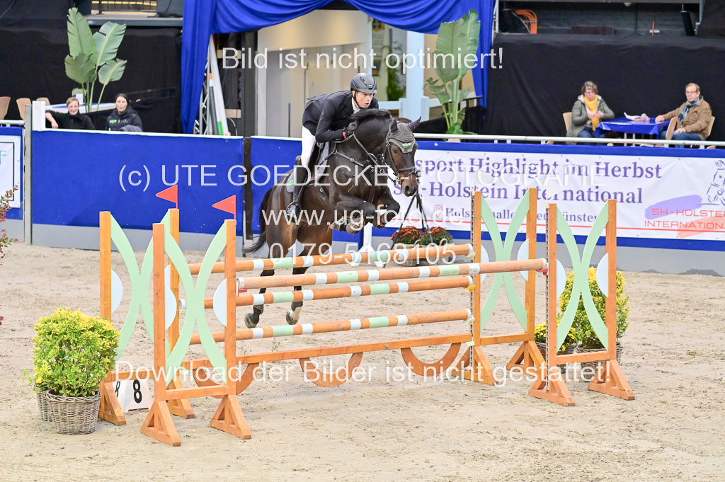 SH Holstein International 21-24.10.2021 Neumünster | Pfg 8 Gold Tour _170