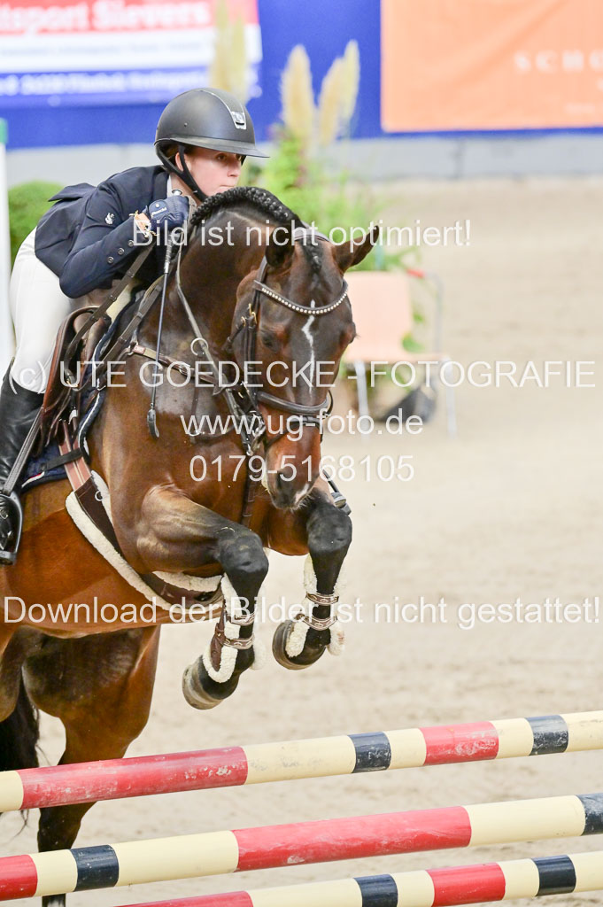 SH Holstein International 21-24.10.2021 Neumünster | Pfg 8 Gold Tour _185