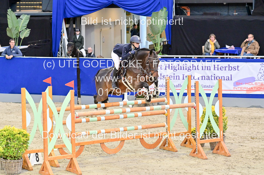 SH Holstein International 21-24.10.2021 Neumünster | Pfg 8 Gold Tour _189