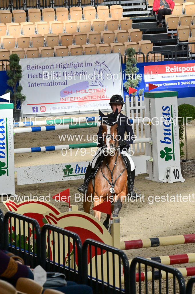 SH Holstein International 21-24.10.2021 Neumünster | Pfg 8 Gold Tour _206