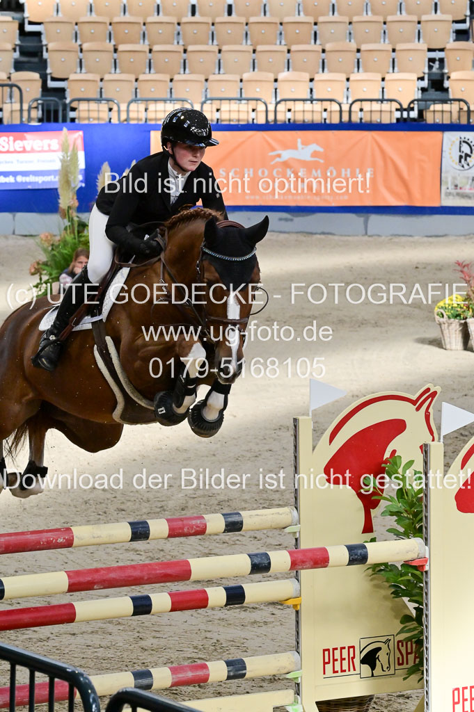 SH Holstein International 21-24.10.2021 Neumünster | Pfg 8 Gold Tour _215
