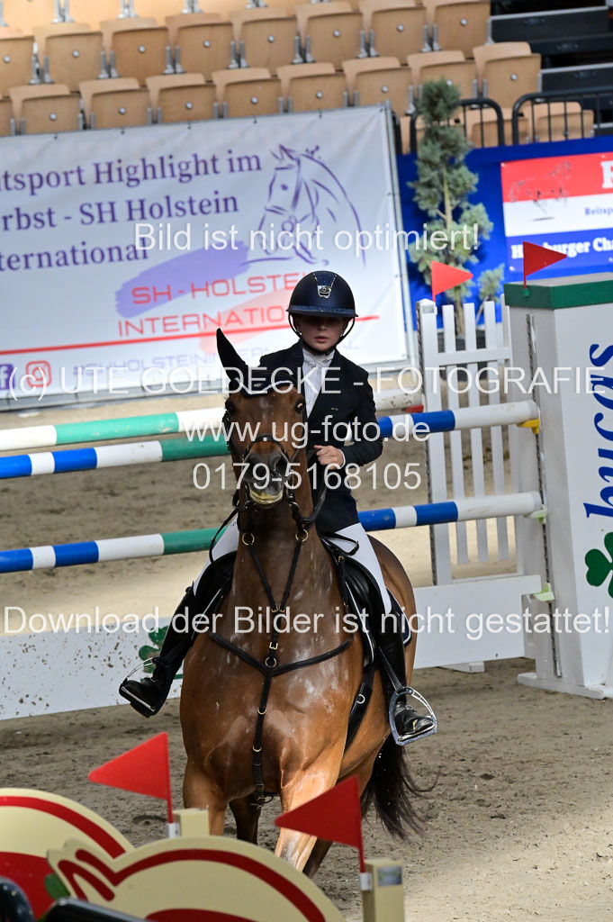 SH Holstein International 21-24.10.2021 Neumünster | Pfg 8 Gold Tour _218