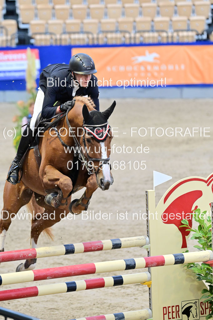 SH Holstein International 21-24.10.2021 Neumünster | Pfg 8 Gold Tour _226