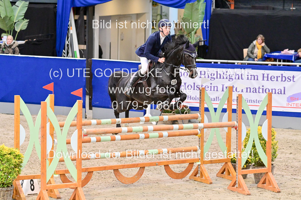 SH Holstein International 21-24.10.2021 Neumünster | Pfg 8 Gold Tour _256