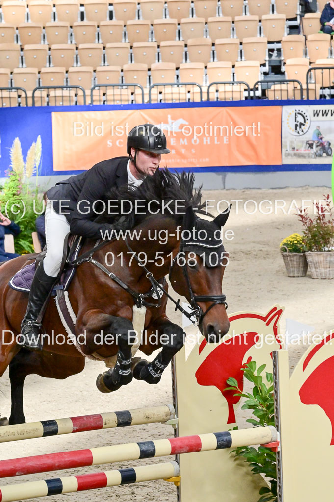 SH Holstein International 21-24.10.2021 Neumünster | Pfg 8 Gold Tour _273