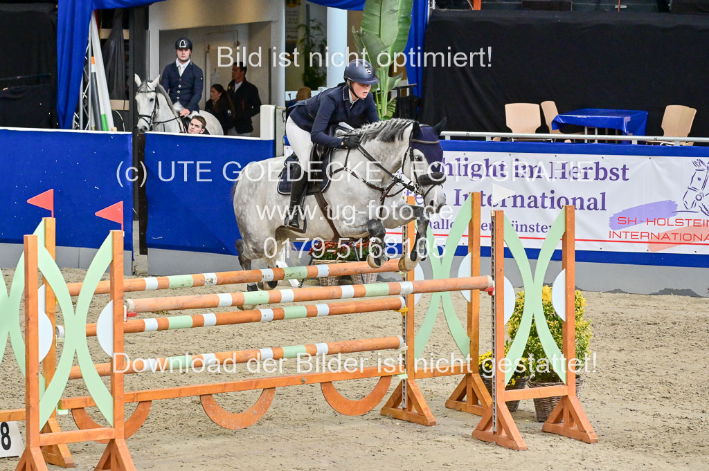 SH Holstein International  21-24.10.2021 Neumünster | Pfg 8 Gold Tour _290 