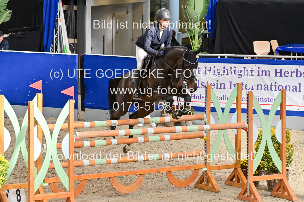 SH Holstein International 21-24.10.2021 Neumünster | Pfg 8 Gold Tour _316