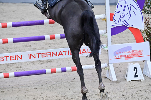 SH Holstein International  21-24.10.2021 Neumünster | Pfg 8 Gold Tour _049 