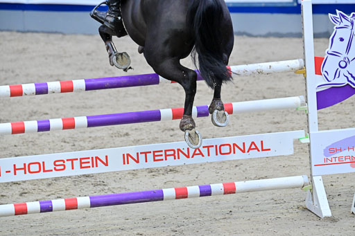 SH Holstein International  21-24.10.2021 Neumünster | Pfg 8 Gold Tour _051 