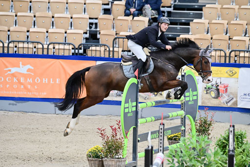 SH Holstein International  21-24.10.2021 Neumünster | Pfg 8 Gold Tour _062 