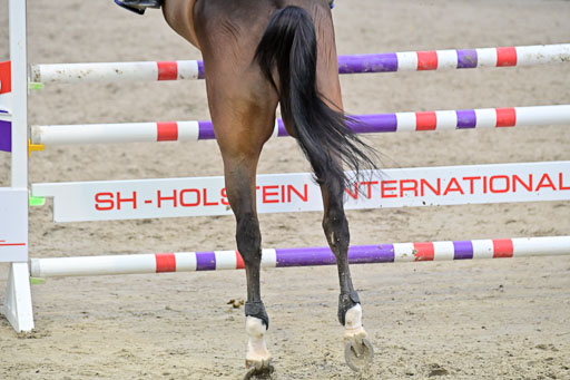 SH Holstein International  21-24.10.2021 Neumünster | Pfg 8 Gold Tour _101 