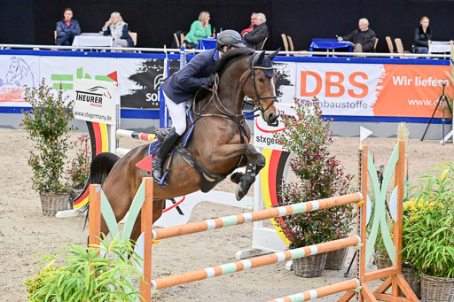 SH Holstein International  21-24.10.2021 Neumünster | Pfg 8 Gold Tour _104 