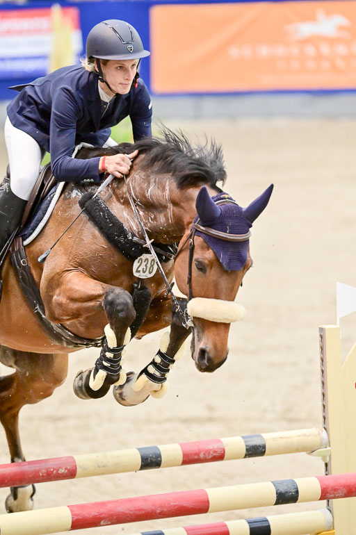 SH Holstein International  21-24.10.2021 Neumünster | Pfg 8 Gold Tour _154 