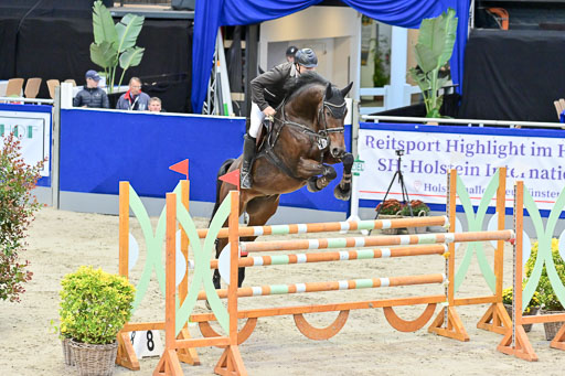 SH Holstein International  21-24.10.2021 Neumünster | Pfg 8 Gold Tour _160 