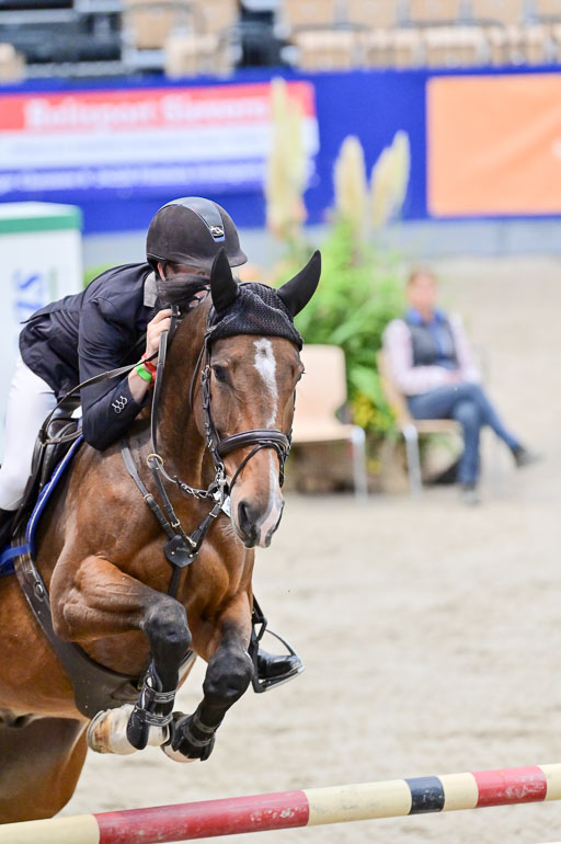 SH Holstein International  21-24.10.2021 Neumünster | Pfg 8 Gold Tour _164 