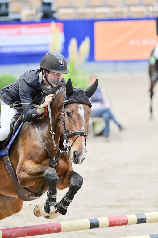 SH Holstein International  21-24.10.2021 Neumünster | Pfg 8 Gold Tour _165 