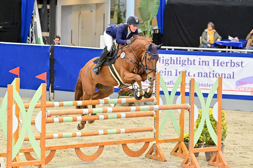 SH Holstein International  21-24.10.2021 Neumünster | Pfg 8 Gold Tour _181 