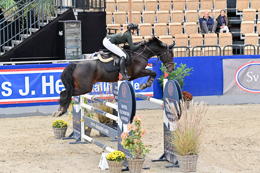 SH Holstein International  21-24.10.2021 Neumünster | Pfg 8 Gold Tour _193 