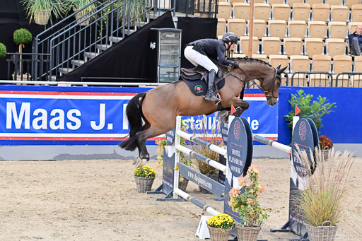 SH Holstein International  21-24.10.2021 Neumünster | Pfg 8 Gold Tour _201 