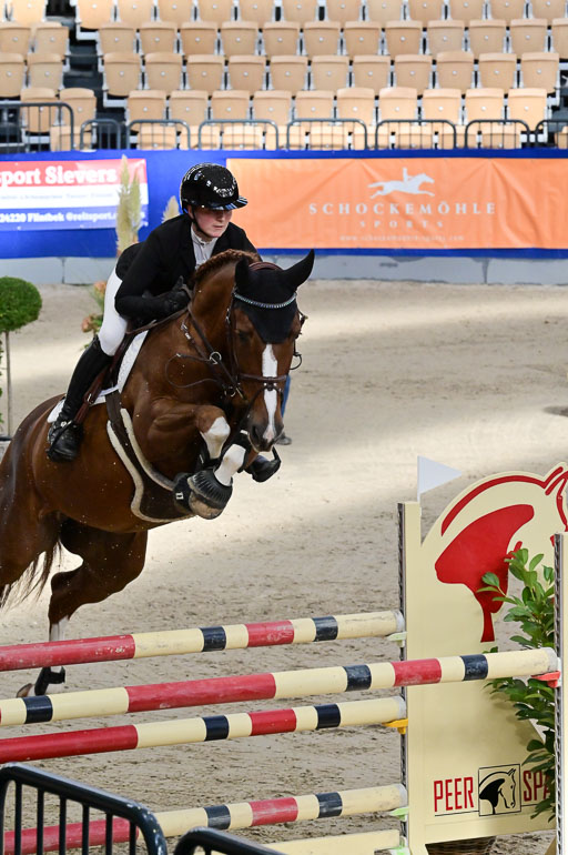 SH Holstein International  21-24.10.2021 Neumünster | Pfg 8 Gold Tour _214 