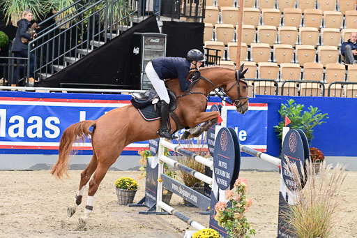 SH Holstein International  21-24.10.2021 Neumünster | Pfg 8 Gold Tour _223 