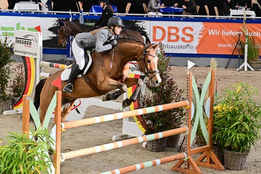 SH Holstein International  21-24.10.2021 Neumünster | Pfg 8 Gold Tour _230 