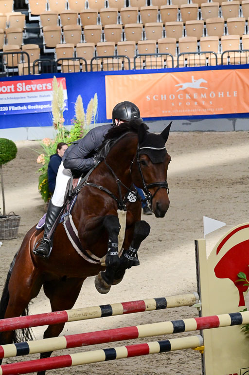 SH Holstein International  21-24.10.2021 Neumünster | Pfg 8 Gold Tour _272 