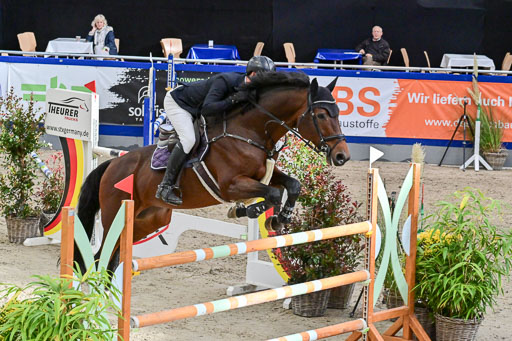 SH Holstein International  21-24.10.2021 Neumünster | Pfg 8 Gold Tour _276 