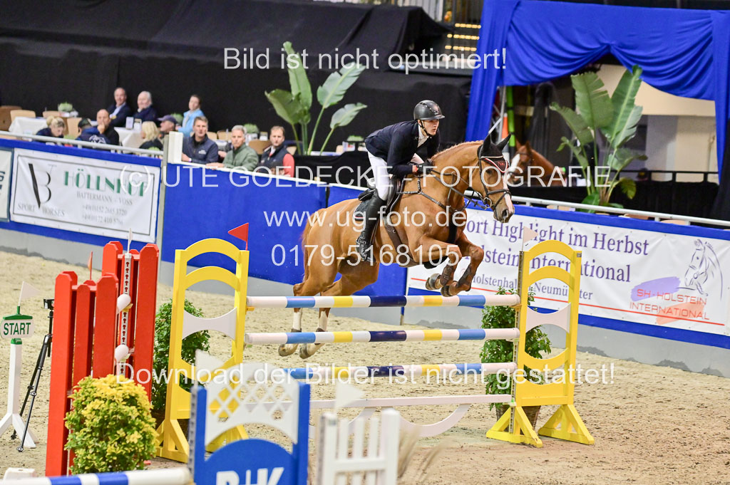 SH Holstein International 21-24.10.2021 Neumünster | Pfg 9 Gold Tour _081