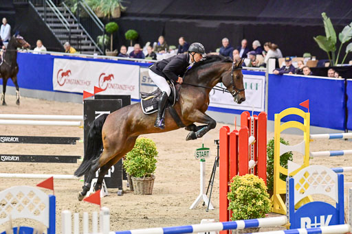 SH Holstein International  21-24.10.2021 Neumünster | Pfg 9 Gold Tour _041 