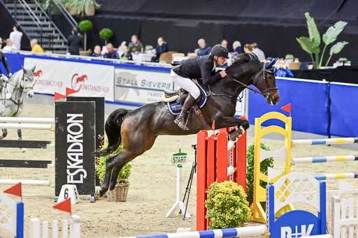 SH Holstein International  21-24.10.2021 Neumünster | Pfg 9 Gold Tour _045 