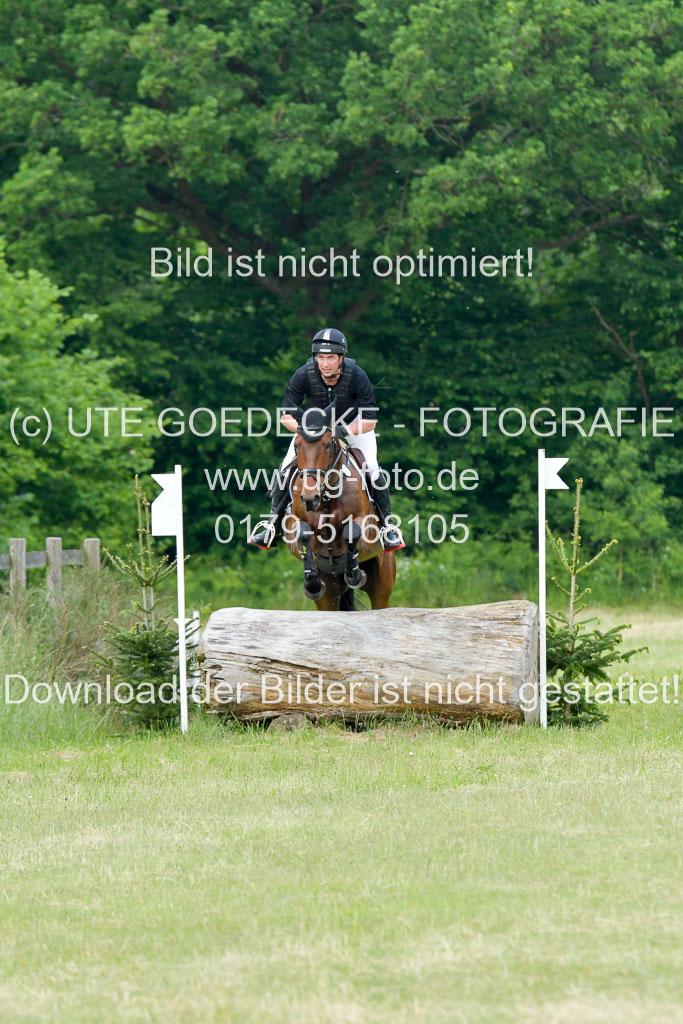 SH-Landeschampionat  der 6 j. Geländepferde  Kl L | 090621 - SH Landeschamp GPF L_002 