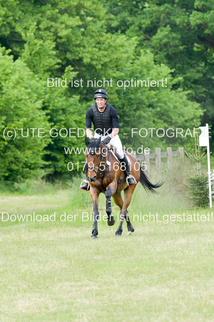 SH-Landeschampionat der 6 j. Geländepferde Kl L | 090621 - SH Landeschamp GPF L_003