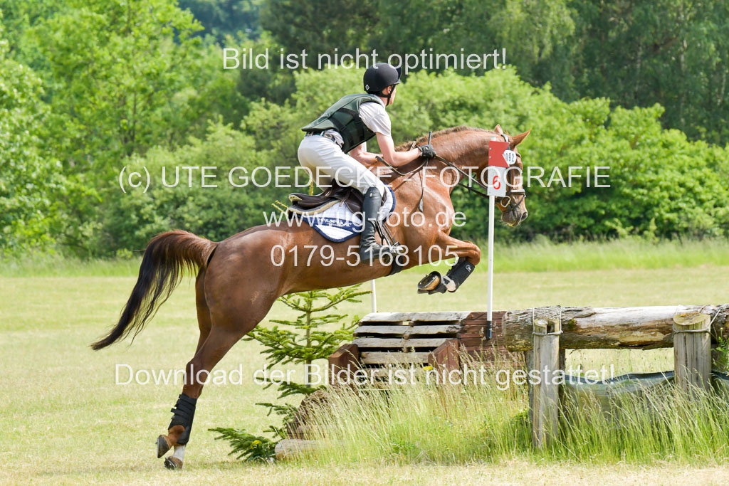 SH-Landeschampionat  der 6 j. Geländepferde  Kl L | 090621 - SH Landeschamp GPF L_013 