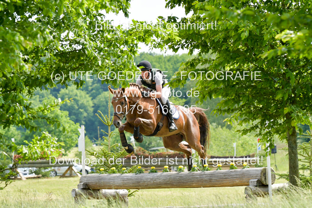 SH-Landeschampionat  der 6 j. Geländepferde  Kl L | 090621 - SH Landeschamp GPF L_016 