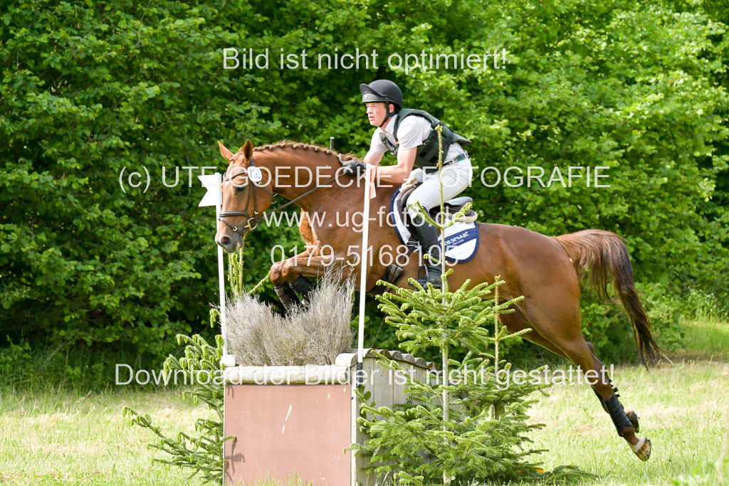 SH-Landeschampionat  der 6 j. Geländepferde  Kl L | 090621 - SH Landeschamp GPF L_017 