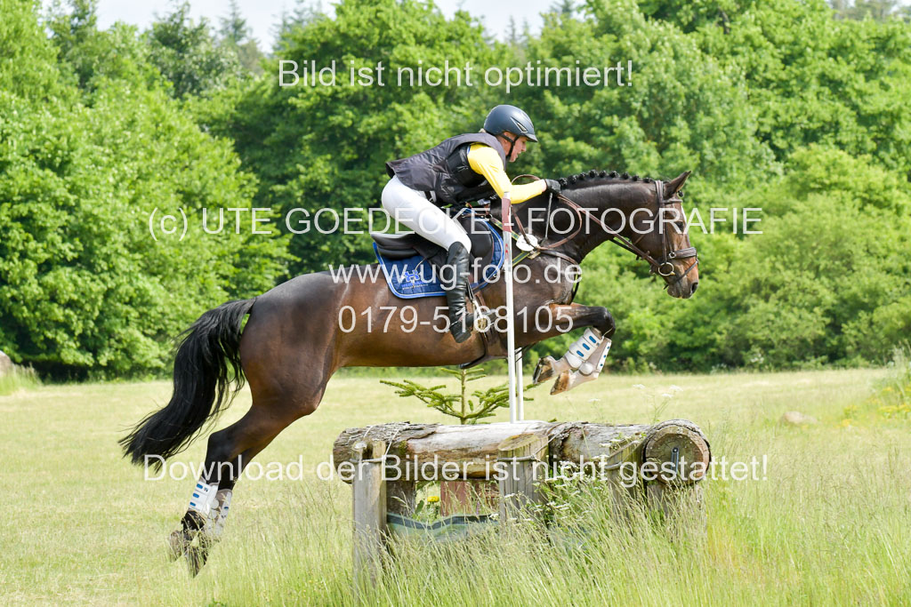 SH-Landeschampionat  der 6 j. Geländepferde  Kl L | 090621 - SH Landeschamp GPF L_021 