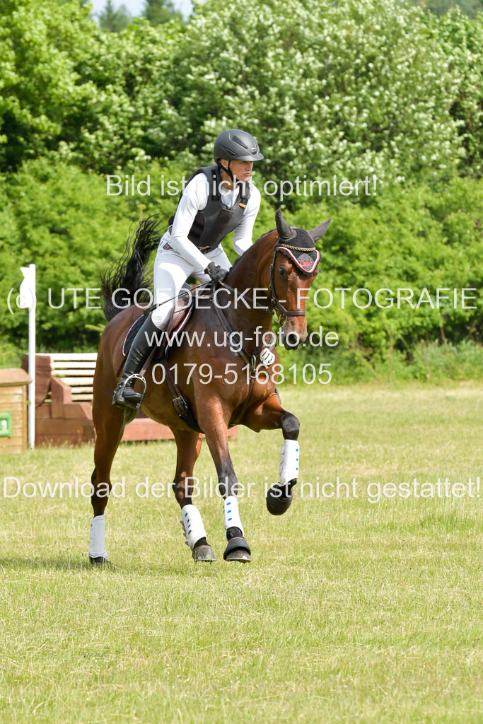 SH-Landeschampionat der 6 j. Geländepferde Kl L | 090621 - SH Landeschamp GPF L_027