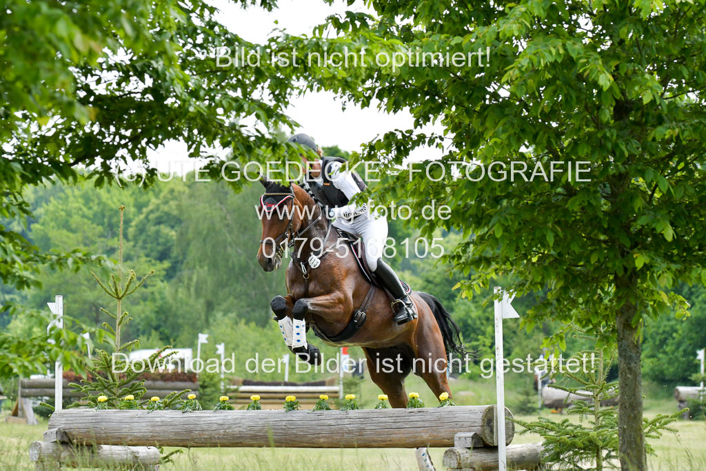 SH-Landeschampionat  der 6 j. Geländepferde  Kl L | 090621 - SH Landeschamp GPF L_028 