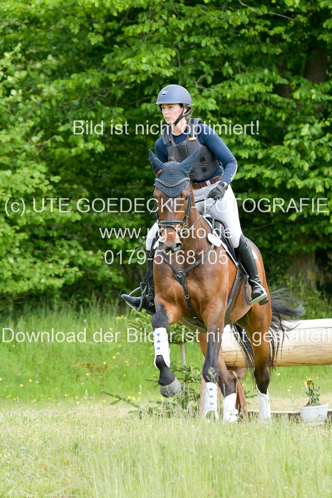 SH-Landeschampionat der 6 j. Geländepferde Kl L | 090621 - SH Landeschamp GPF L_030