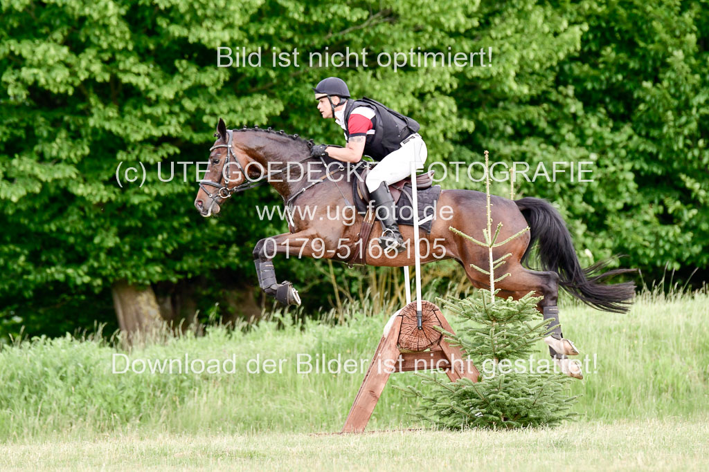 SH-Landeschampionat der 6 j. Geländepferde Kl L | 090621 - SH Landeschamp GPF L_057