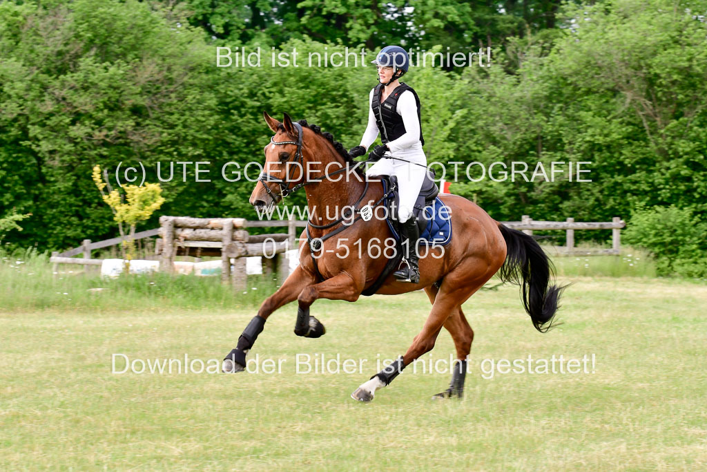 SH-Landeschampionat der 6 j. Geländepferde Kl L | 090621 - SH Landeschamp GPF L_065