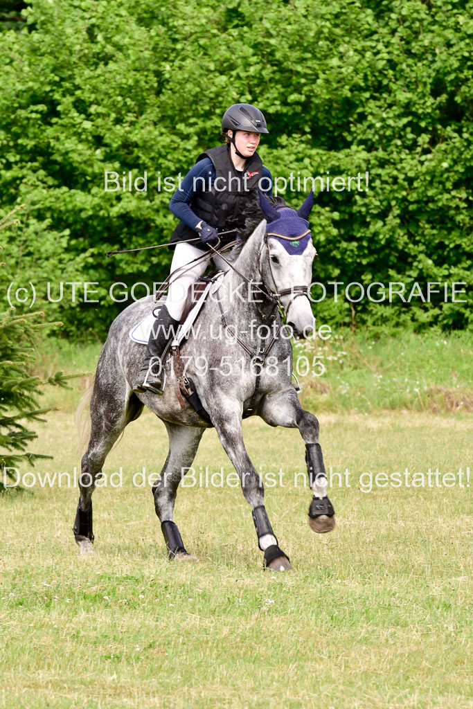 SH-Landeschampionat der 6 j. Geländepferde Kl L | 090621 - SH Landeschamp GPF L_068