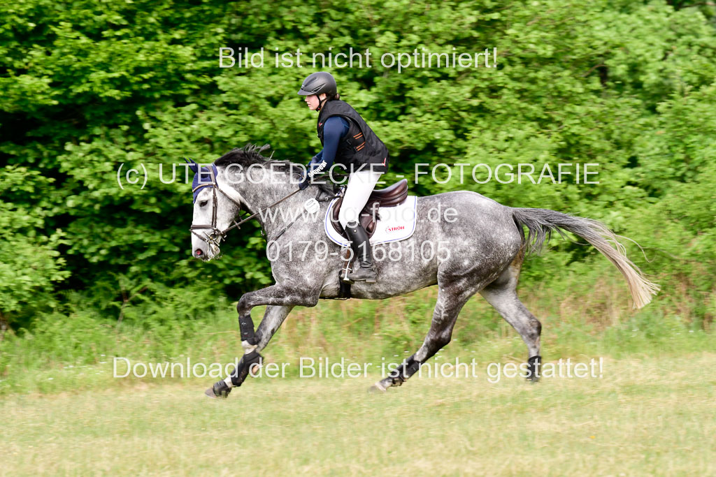 SH-Landeschampionat  der 6 j. Geländepferde  Kl L | 090621 - SH Landeschamp GPF L_072 