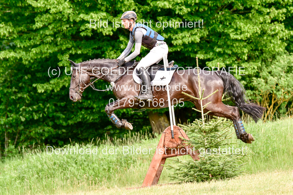 SH-Landeschampionat  der 6 j. Geländepferde  Kl L | 090621 - SH Landeschamp GPF L_087 