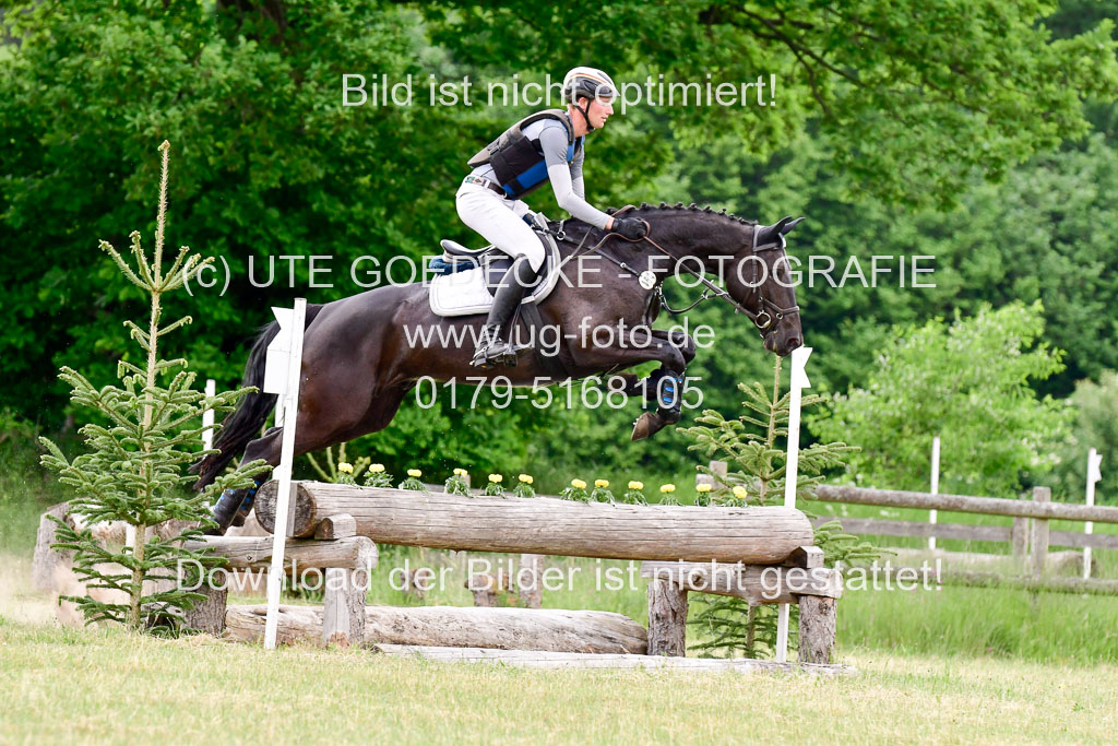 SH-Landeschampionat  der 6 j. Geländepferde  Kl L | 090621 - SH Landeschamp GPF L_090 