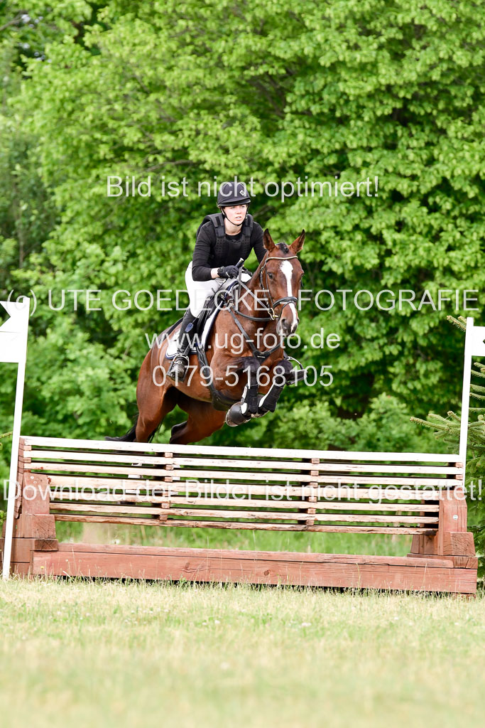 SH-Landeschampionat  der 6 j. Geländepferde  Kl L | 090621 - SH Landeschamp GPF L_103 
